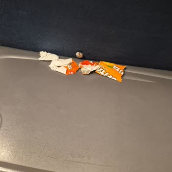 Kirli Otobüs Seyahati Sağlık Korkusu Bilet İadesi Talebi