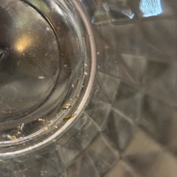 Beko Bulaşık Makinesinde Temizleme Sorunu Ve Ücretsiz Değişim Talebi