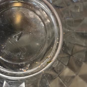 Beko Bulaşık Makinesinde Temizleme Sorunu Ve Ücretsiz Değişim Talebi