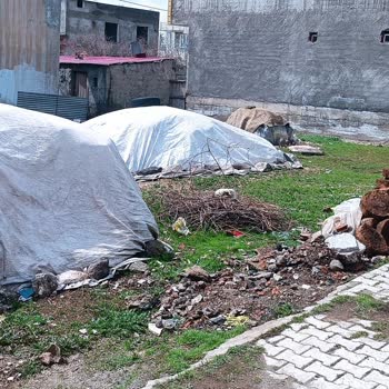 Ergani Şirinevler’de Hayvan Gürültüsü, Koku Ve Sinek Sorunu