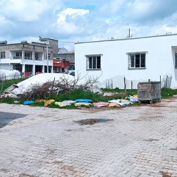 Ergani Şirinevler’de Hayvan Gürültüsü, Koku Ve Sinek Sorunu