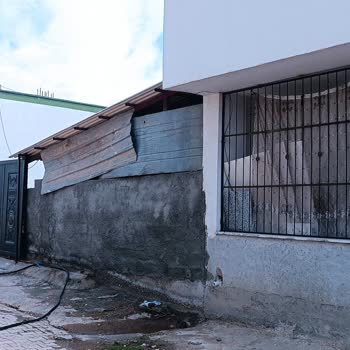 Ergani Şirinevler’de Hayvan Gürültüsü, Koku Ve Sinek Sorunu