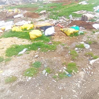 Ergani Şirinevler’de Hayvan Gürültüsü, Koku Ve Sinek Sorunu