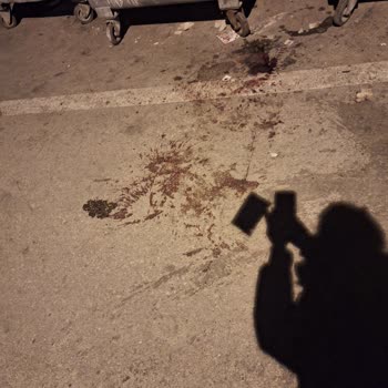 Ölü Kedi Çöpte Bırakıldı, Acil Temizlik Talebi