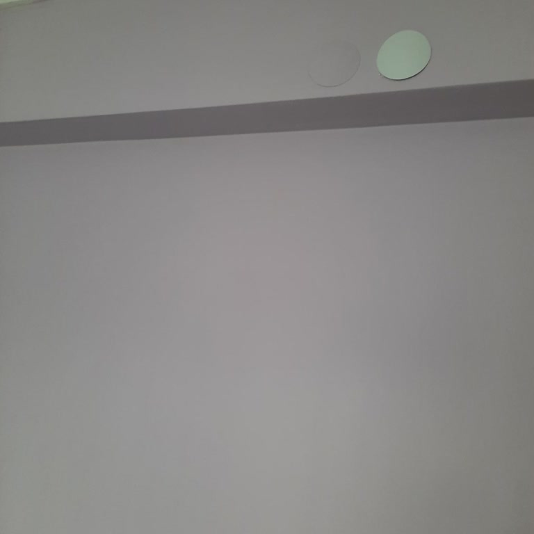 Katalog Renginden Farklı Boya: Soğuk Ve Mora Çalan Tonla Hayal Kırıklığı