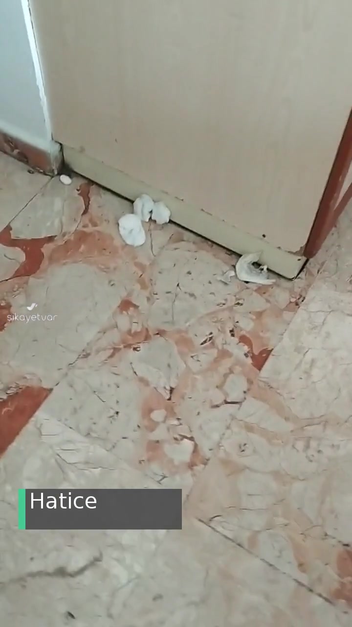 Fırat Üniversitesi Hastanesi Hijyen Kurallarına Uygun Değil! videonun kapak resmi