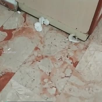 Fırat Üniversitesi Hastanesi Hijyen Kurallarına Uygun Değil!