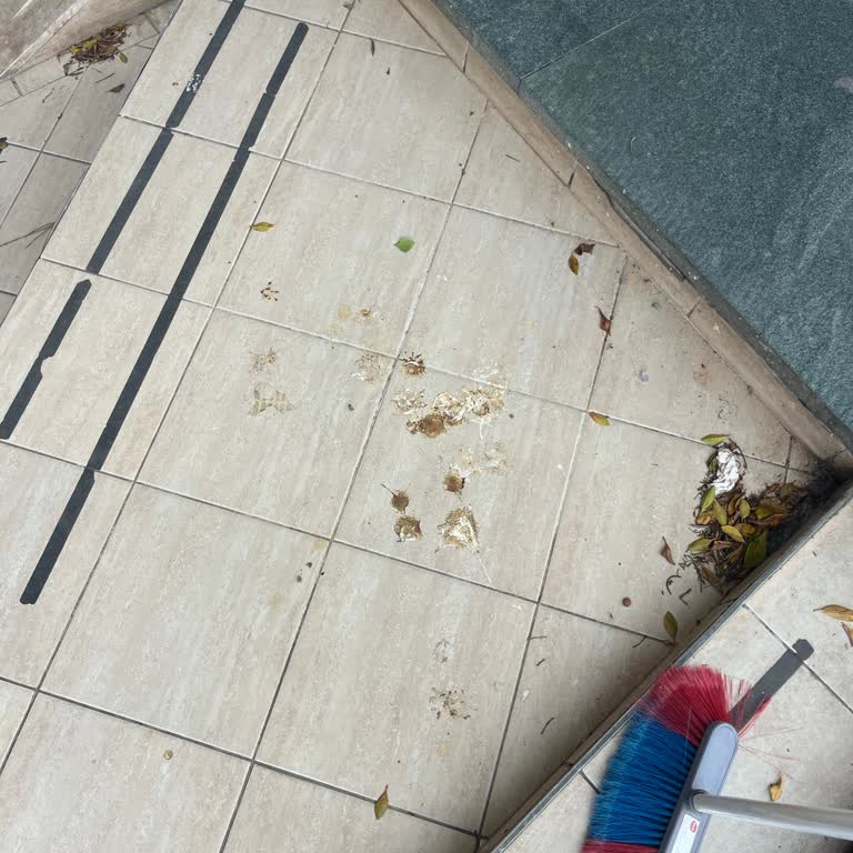 Kuş Dışkıları Dükkan Önünü Kirletiyor, Sağlık Ve Hijyen Sorunu Oluşturuyor