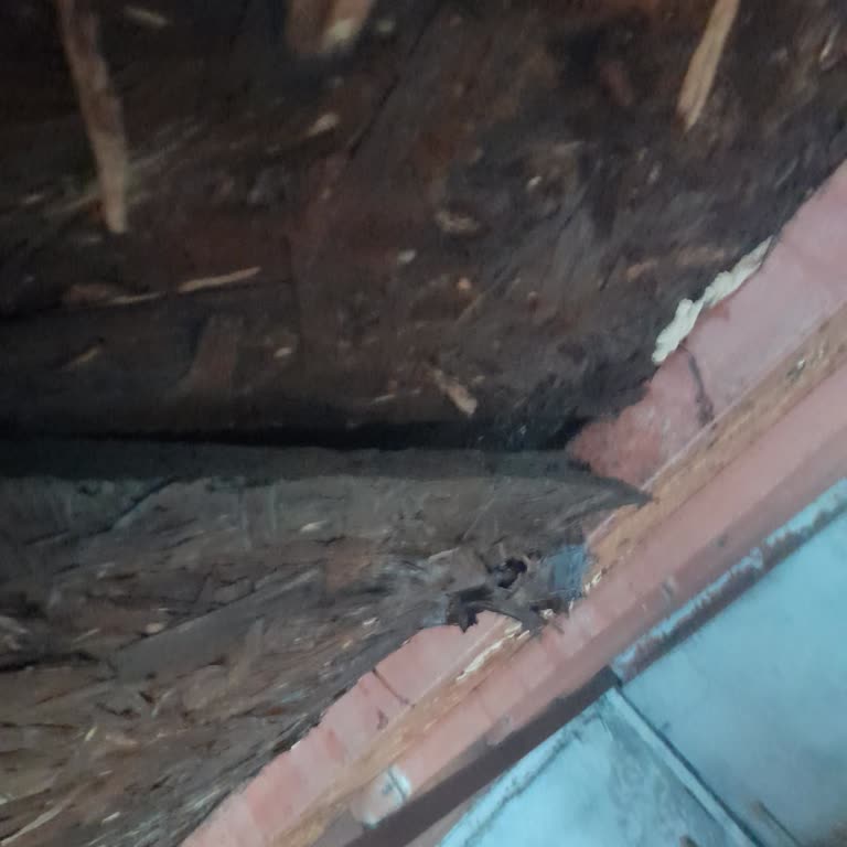 Eksper Gelmedi, Hasar Yanlış Belirlendi: 40.000 TL Tazminat Eksik