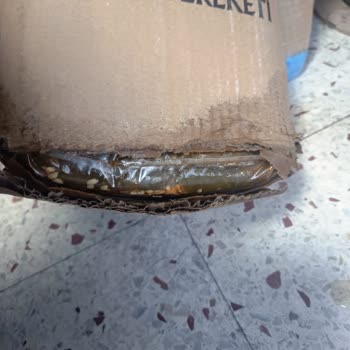 Kargo Paketi Bildirimsiz Bıraktı, Ürünler Islak Ve Bozulmuş, İade Reddi