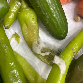 Sebzeler Hızlı Çürüyor: Nemlendirme Özelliği Nedeniyle Buzdolabı İade Talebi