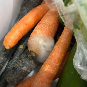 Sebzeler Hızlı Çürüyor: Nemlendirme Özelliği Nedeniyle Buzdolabı İade Talebi