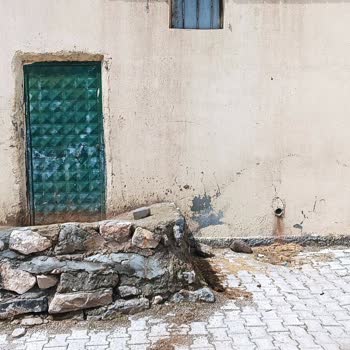 Ergani'de Hayvan Sesleri, Koku Ve Çevre Kirliliği Şikayeti