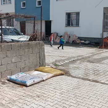 Ergani'de Hayvan Sesleri, Koku Ve Çevre Kirliliği Şikayeti