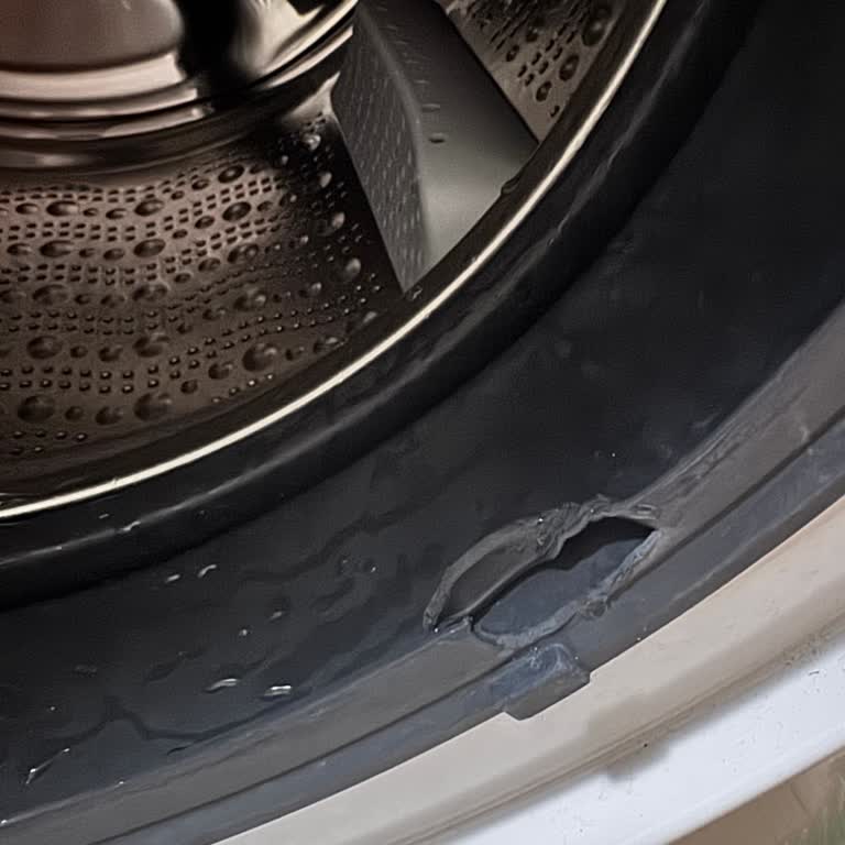 29 Günlük Kullanımda Kayış Arızası Ve Garanti Reddi