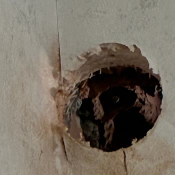 Yağmur Borusuna Delik Açıldı Ve Ücretsiz Onarım Talebi