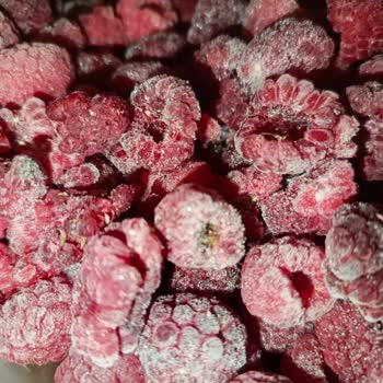 Metro Markette Dondurulmuş Frambuazda Küf Ve Hijyen Sorunu