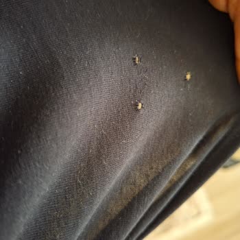 LG Çamaşır Makinesinde Çamaşır Yırtma Sorunu Ve Garanti Kapsamında Değişim Talebi