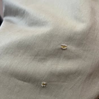 Allmiss Giyim’den Defolu Trençkotlar, Tekrarlanan Kargo Ücretleri Ve İletişimsizlik