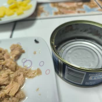 BİM'den Kapağında Ölü Sinek Bulunan Ton Balığı