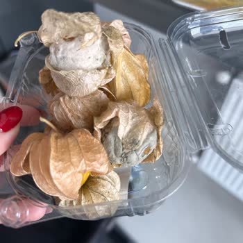 Migros Online Siparişimde Küflü Altın Çilek Paketi, Tekrarlayan Kalite Sorunu