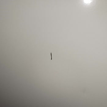 Servis Sonrası Derin Dondurucuda Oluşan Çizik Ve Eğilmelere İlişkin Şikayet