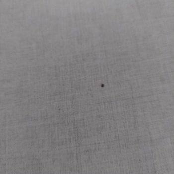 Bellona Valencia Yemek Masasında Şişme Ve Renk Değişimi Nedeniyle Ayıplı Ürün Değişimi Talebi