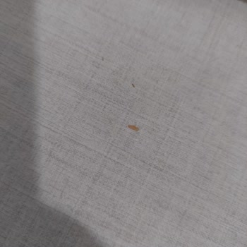 Bellona Valencia Yemek Masasında Şişme Ve Renk Değişimi Nedeniyle Ayıplı Ürün Değişimi Talebi