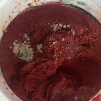 Kısa Sürede Küflenmiş Salça Ve Fiş Olmadan Çözüm Bulunamaması