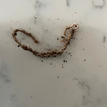 Lipton Çay Paketi İçinde Yabancı Cisim Ve Aylarca Süren Cevapsızlık