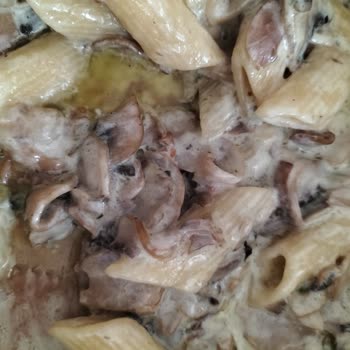 Yağlı Soslu Makarna Üzerindeki Şikayet Ve Ücret İadesi Talebi