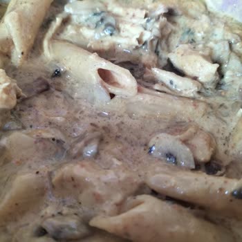 Yağlı Soslu Makarna Üzerindeki Şikayet Ve Ücret İadesi Talebi