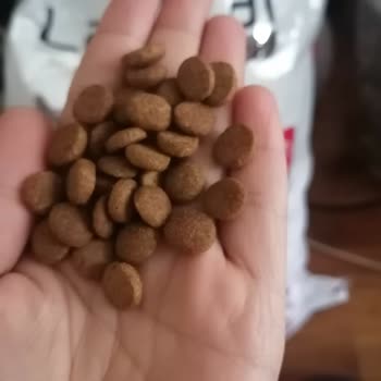 İkizler Yem Market Alınan Lavital Kedi Maması Ve Geri Ödeme Talebi