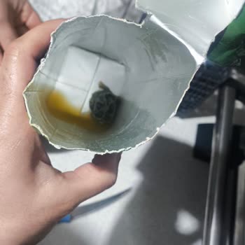 Cappy Atom Meyve Suyunda Küflü Yabancı Madde: Sağlık Endişesi