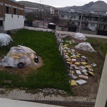 Ergani Belediyesi Hayvan Sesleri Ve Kötü Kokuya Çözüm İstiyorum