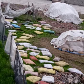 Ergani Belediyesi Hayvan Sesleri Ve Kötü Kokuya Çözüm İstiyorum