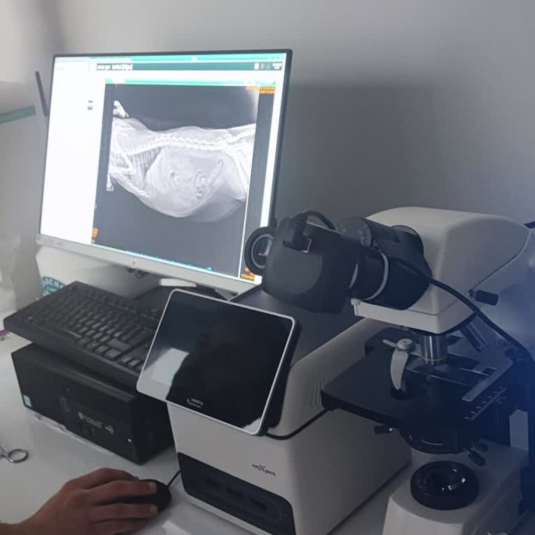 Pet Shop Zoo (İzmir) Sahte Orijinal Kedi Maması, Kedim Hastalandı Ve 4.785 TL Veteriner Masrafı