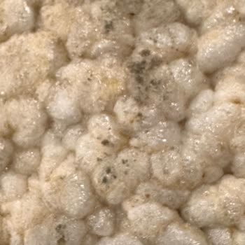 Küflü Çikolata Ürünü Sağlığımı Riske Attı