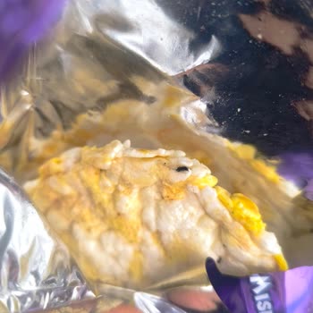 A101'den Satın Alınan Eti Gong Patlağında Siyah Parçalar Sağlık Endişesi Yaratıyor