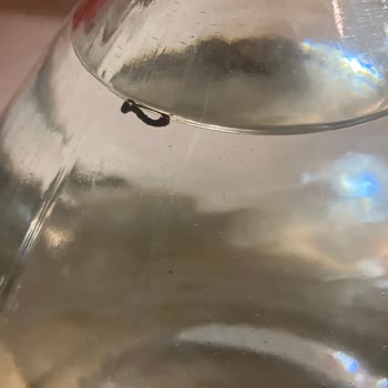 Getir'den Gelen Hayat Su Cam Şişesinde Yabancı Madde Tespiti