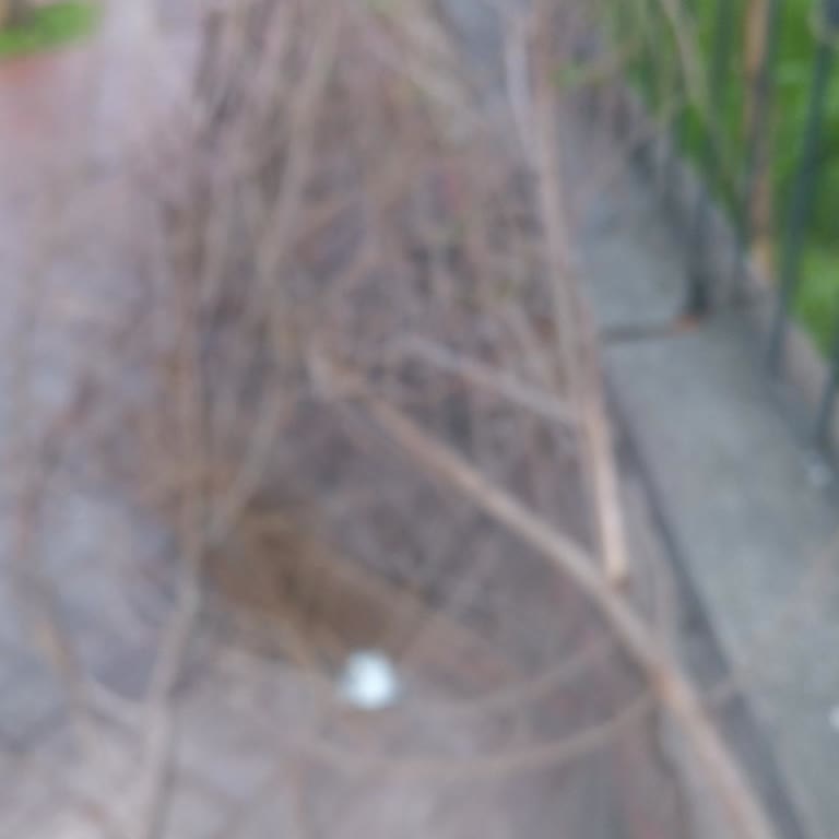 Kamera Odaklanma Sorunu Ve Stok Bahanesiyle Ertelenen Telefon Değişim Talebi