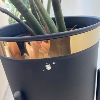 Trendyol’da Gizli Ayıplı Saksı Sorunu Çözülmedi