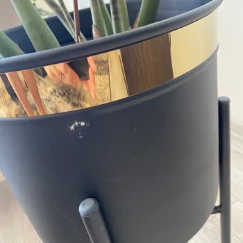 Trendyol’da Gizli Ayıplı Saksı Sorunu Çözülmedi