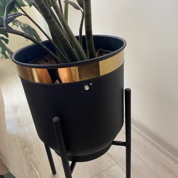 Trendyol’da Gizli Ayıplı Saksı Sorunu Çözülmedi