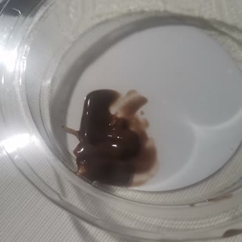 Danette Selection Wafer Mix Ürünün İçinde Kurtçuk Bulunması