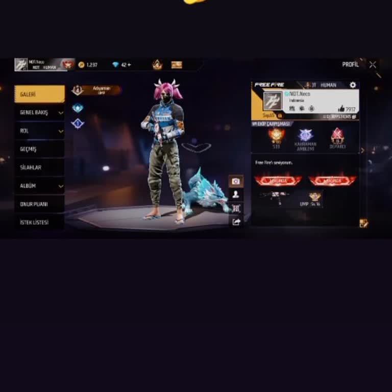 Google Bağlı Free Fire Hesabım Çalındı Ve 500 TL Değerindeki Eşyalarım Kayıp