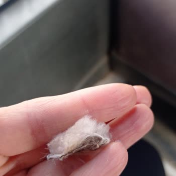 Kurklu Montta Kürk Parçasının Düşmesi Kullanıcı Hatası Olarak Red Edildi