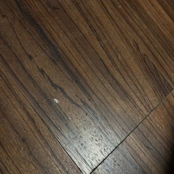 The City Suites Otelinde Karınca İstilası Nedeniyle Konaklamama Ve 2000 TL İade Talebi