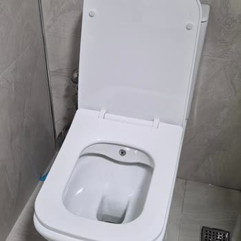 Turkuaz Duru Klozette Sürekli Leke Ve Hijyen Sorunu