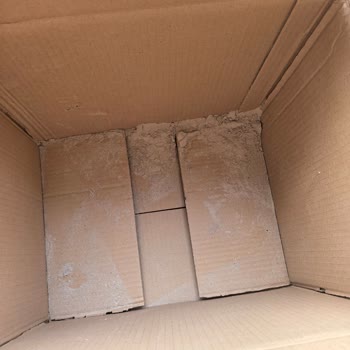 Bahs (Bahsbar) Vegan Takviye Siparişinde Yanıltıcı Ürün Ve Gelecek Tarihli Etiket Sorunu